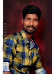 VHI3459  : Pillai (Tamil)  from  Puducherry