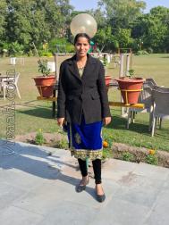 VHL1160  : Nai (Punjabi)  from  Amritsar