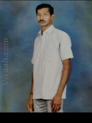 VHM8993  : Reddy (Tamil)  from  Coimbatore