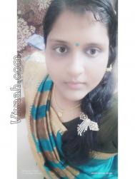 VHN9104  : Balija (Telugu)  from  Tiruvannamalai