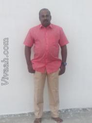 VHR2400  : Gounder (Tamil)  from  Coimbatore