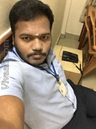VHY3292  : Gavara (Tamil)  from  Chennai