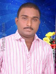 VIK5659  : Reddy (Telugu)  from  Kurnool