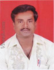 VIU3661  : Brahmin Sri Vishnava (Kannada)  from  Hassan