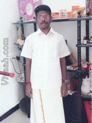 VVZ5191  : Gavara (Tamil)  from  Erode